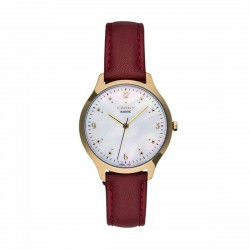 Horloge Heren Cauny CMJ008